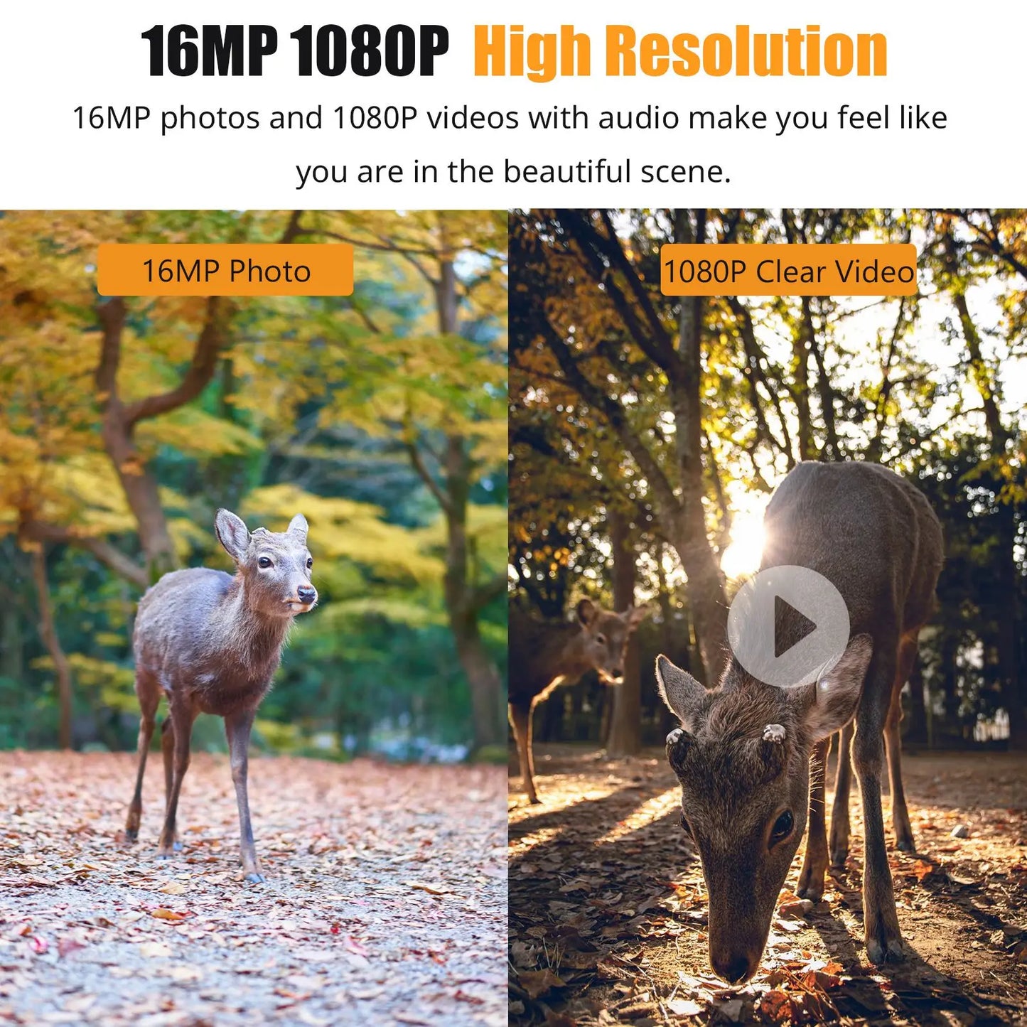 1080P Hunting Camera 2.0in LCD 16MP Infrared Night Vision, Waterproof Trail Camera