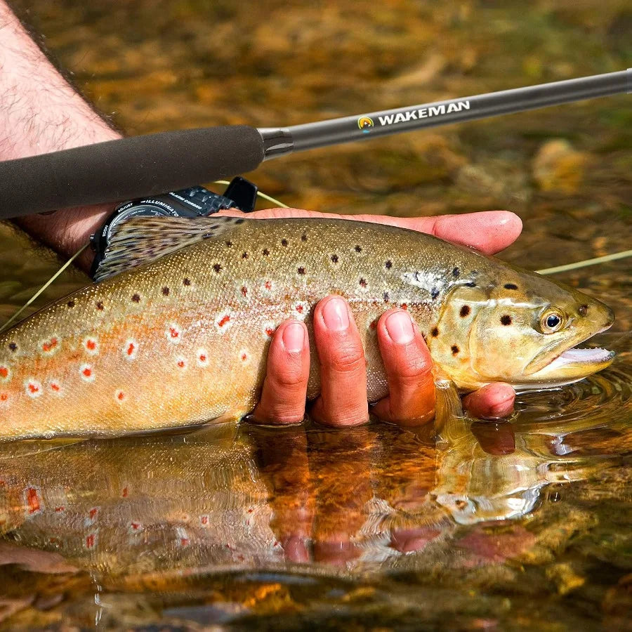 Fly Fishing Rod and Reel Combo with Carrying Case