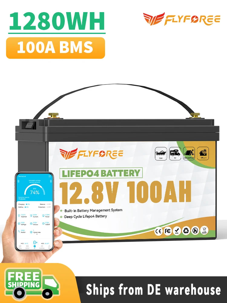 12V 100Ah LiFePO4 Lithium Battery Pack With charger