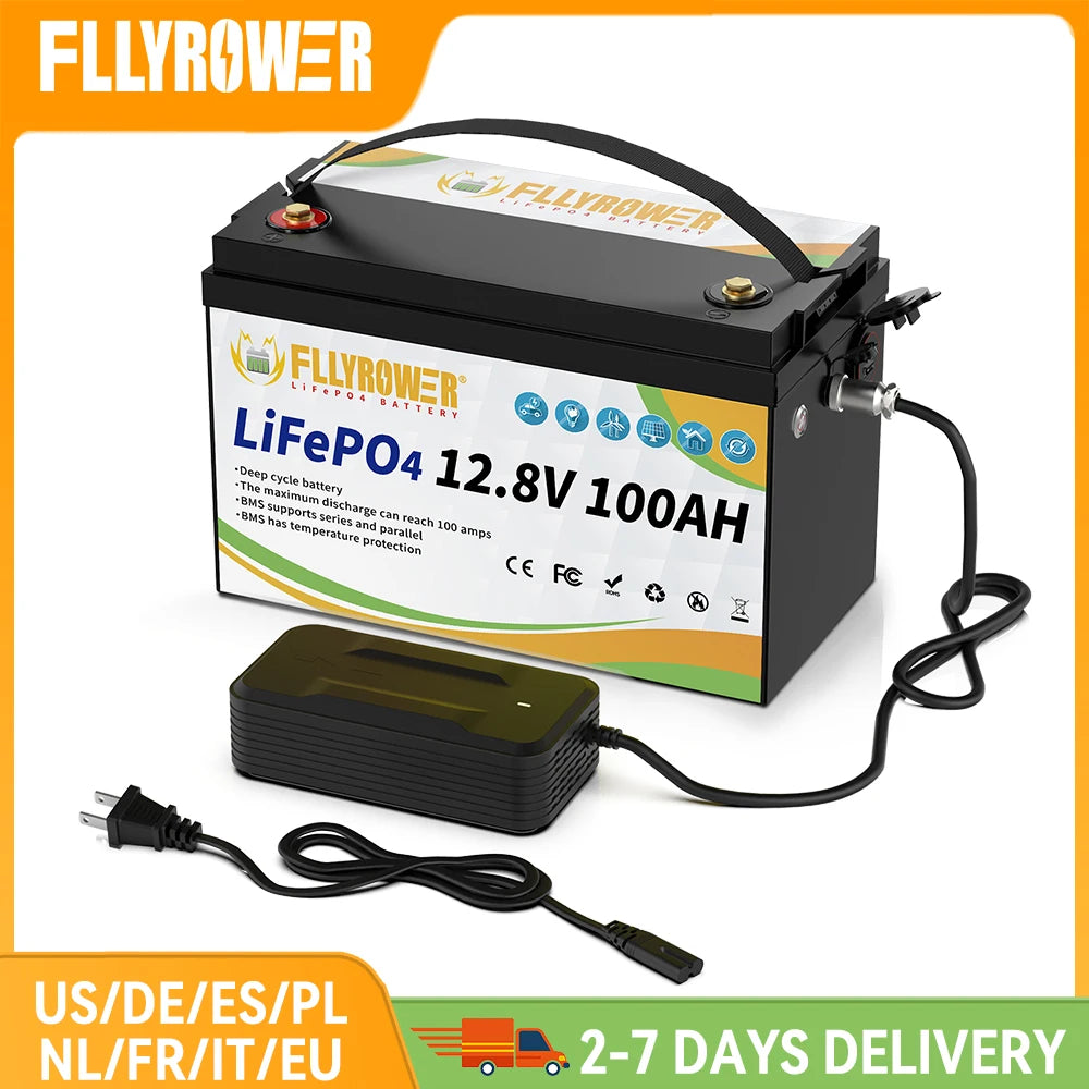 12V 100Ah LiFePO4 Lithium Battery Pack With charger