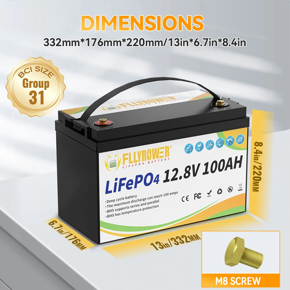 12V 100Ah LiFePO4 Lithium Battery Pack With charger