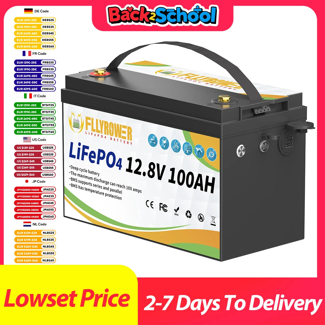 12V 100Ah LiFePO4 Lithium Battery Pack With charger