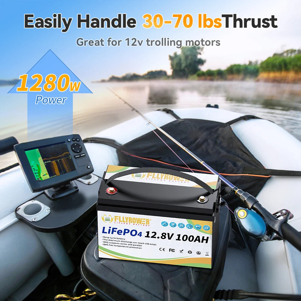 12V 100Ah LiFePO4 Lithium Battery Pack With charger